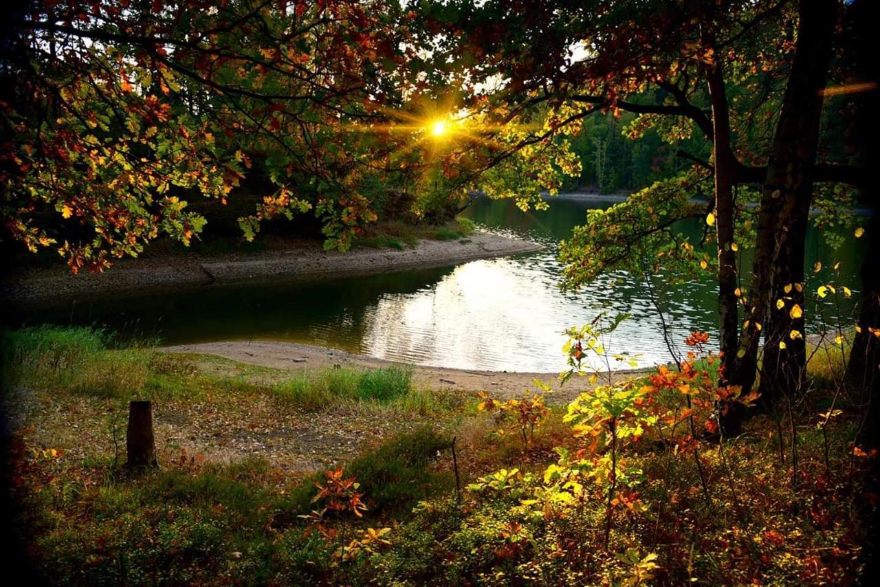 Agroturystyka U Kozdryka Leśna Esterno foto