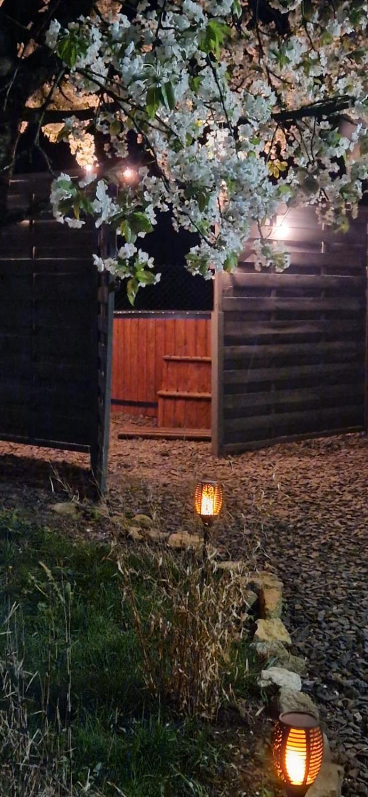 Agroturystyka U Kozdryka Leśna Esterno foto